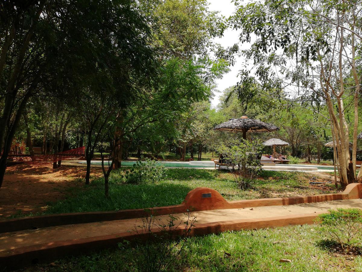 Kuwera Eco Lodge Сигирия Экстерьер фото