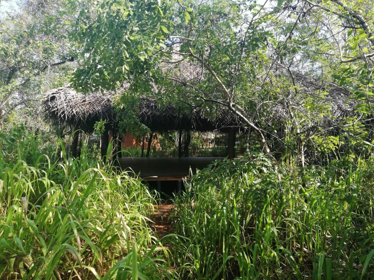 Kuwera Eco Lodge Сигирия Экстерьер фото